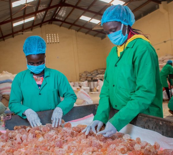 WhatsApp Image 2025-09-18 at 11.43.52 PM (1)